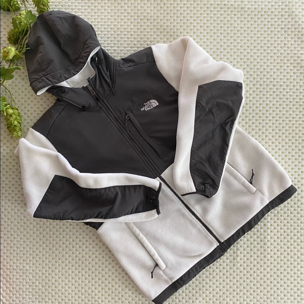 The North Face Polartec Hooded Jacket
